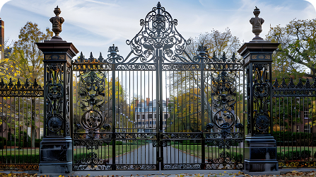 кованые ворота